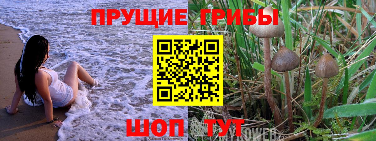 Галлюциногенные грибы прущие грибы Губкин