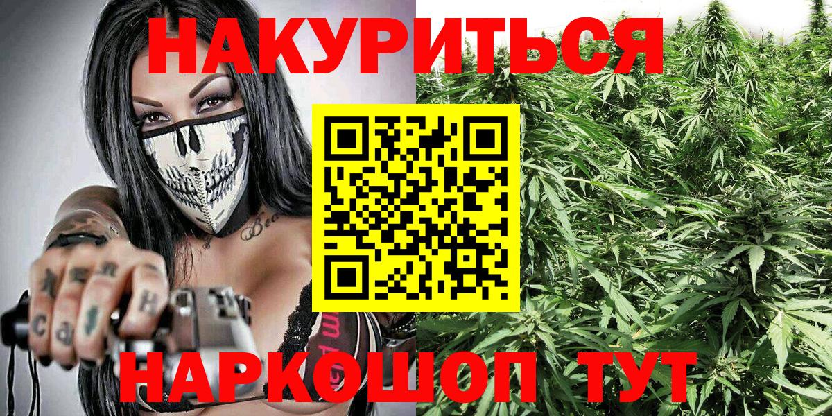 Губкин  Бошки марихуана план  Конопля SATIVA & INDICA  Марихуана VHQ  Вход с VPN 